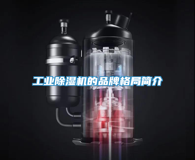 工業(yè)除濕機(jī)的品牌格局簡介