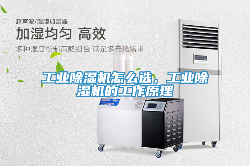 工業(yè)除濕機(jī)怎么選，工業(yè)除濕機(jī)的工作原理