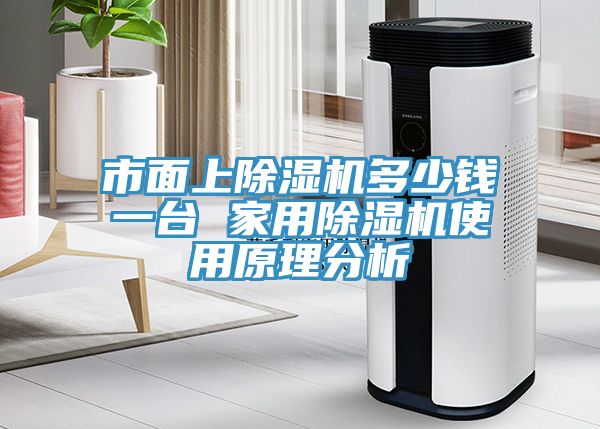 市面上除濕機(jī)多少錢一臺 家用除濕機(jī)使用原理分析