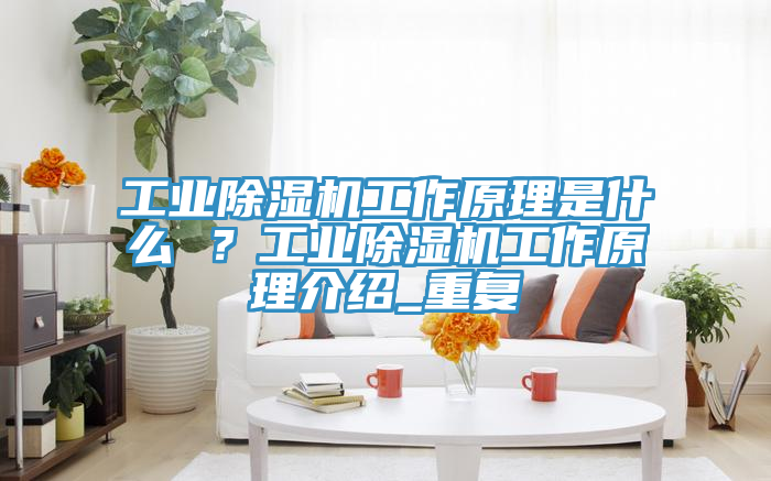 工業(yè)除濕機(jī)工作原理是什么 ？工業(yè)除濕機(jī)工作原理介紹_重復(fù)