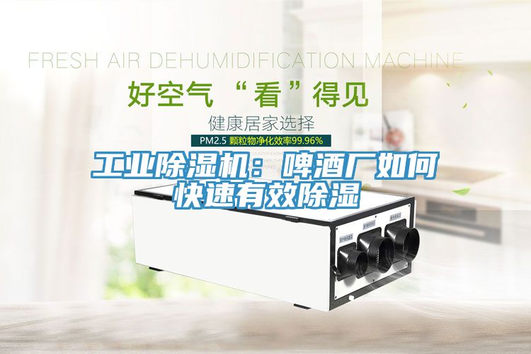 工業(yè)除濕機：啤酒廠如何快速有效除濕