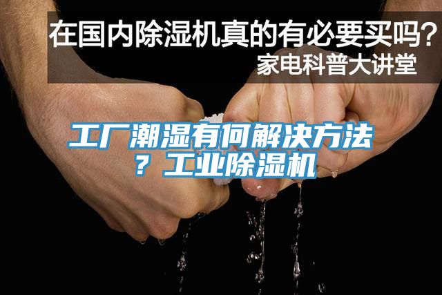 工廠潮濕有何解決方法？工業(yè)除濕機(jī)