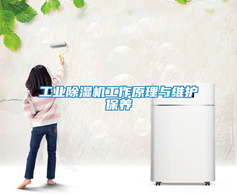 工業(yè)除濕機(jī)工作原理與維護(hù)保養(yǎng)