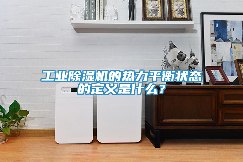 工業(yè)除濕機的熱力平衡狀態(tài)的定義是什么？