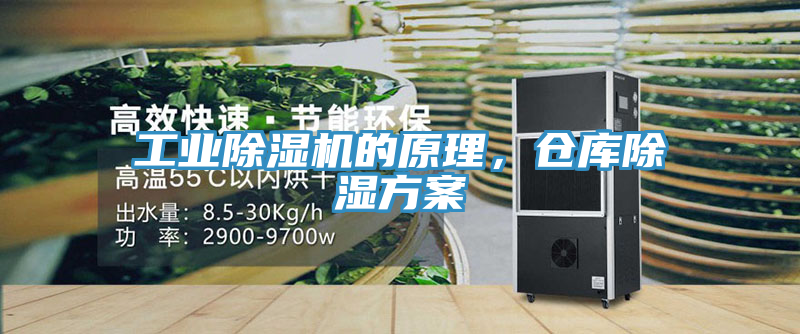 工業(yè)除濕機(jī)的原理，倉庫除濕方案