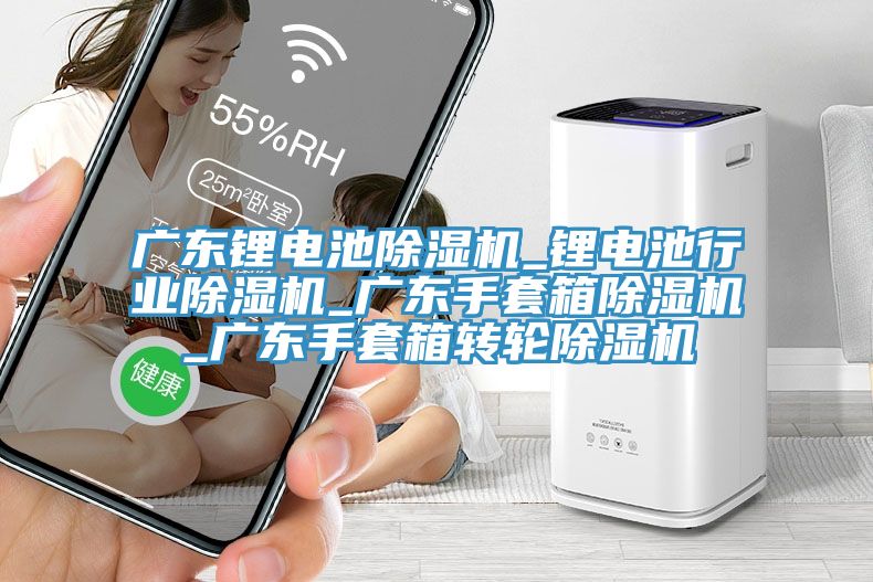 廣東鋰電池除濕機(jī)_鋰電池行業(yè)除濕機(jī)_廣東手套箱除濕機(jī)_廣東手套箱轉(zhuǎn)輪除濕機(jī)