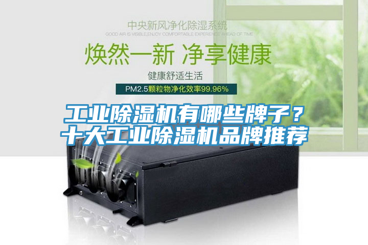 工業(yè)除濕機(jī)有哪些牌子？十大工業(yè)除濕機(jī)品牌推薦