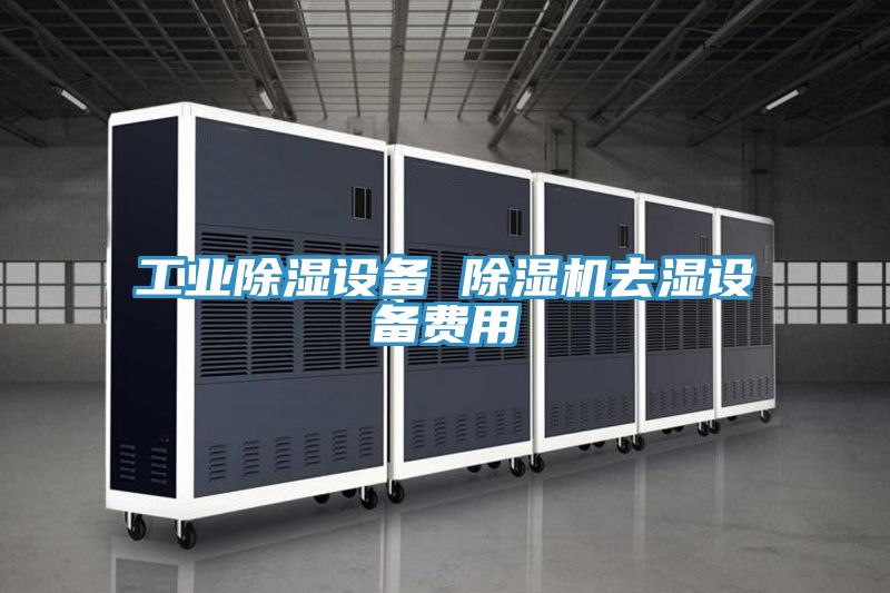 工業(yè)除濕設(shè)備 除濕機(jī)去濕設(shè)備費用