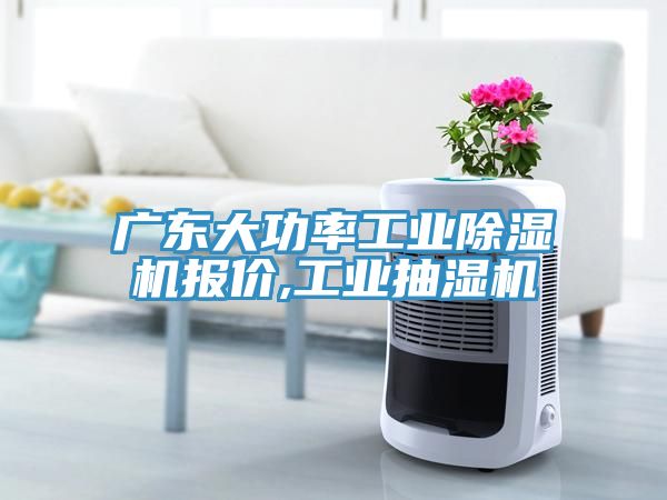 廣東大功率工業(yè)除濕機報價,工業(yè)抽濕機