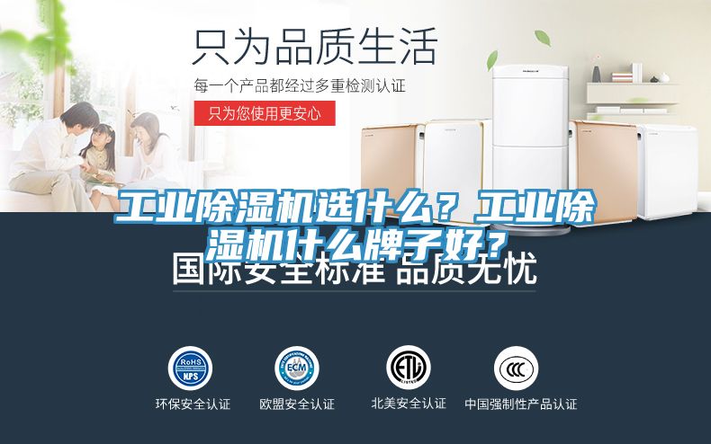 工業(yè)除濕機(jī)選什么？工業(yè)除濕機(jī)什么牌子好？