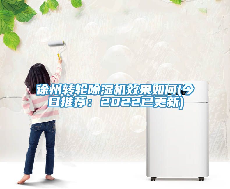 徐州轉(zhuǎn)輪除濕機(jī)效果如何(今日推薦：2022已更新)