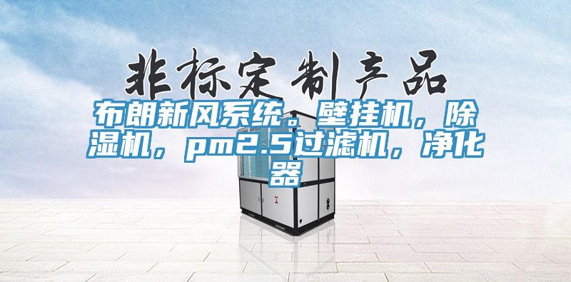 布朗新風(fēng)系統(tǒng)。壁掛機(jī)，除濕機(jī)，pm2.5過濾機(jī)，凈化器