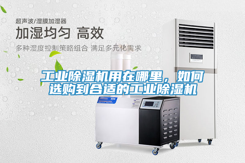 工業(yè)除濕機(jī)用在哪里，如何選購(gòu)到合適的工業(yè)除濕機(jī)