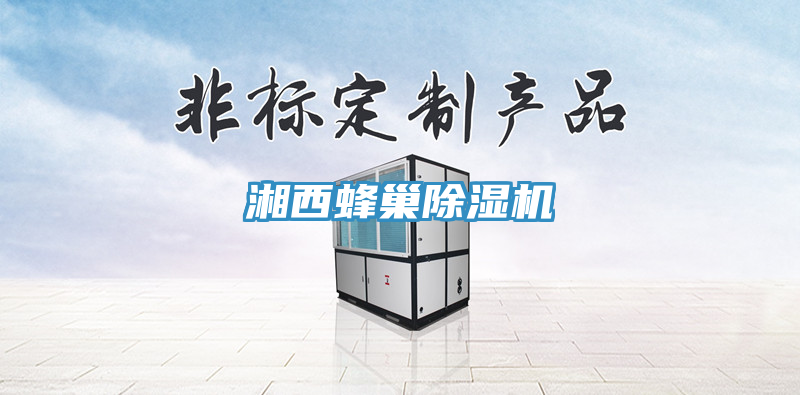 湘西蜂巢除濕機(jī)