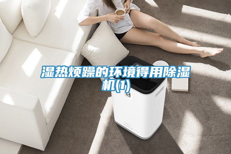 濕熱煩躁的環(huán)境得用除濕機(jī)(1)