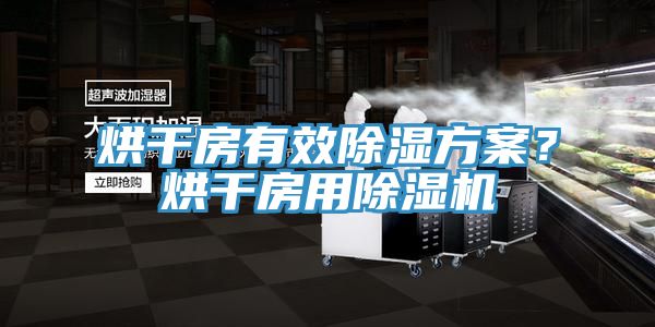 烘干房有效除濕方案？烘干房用除濕機(jī)