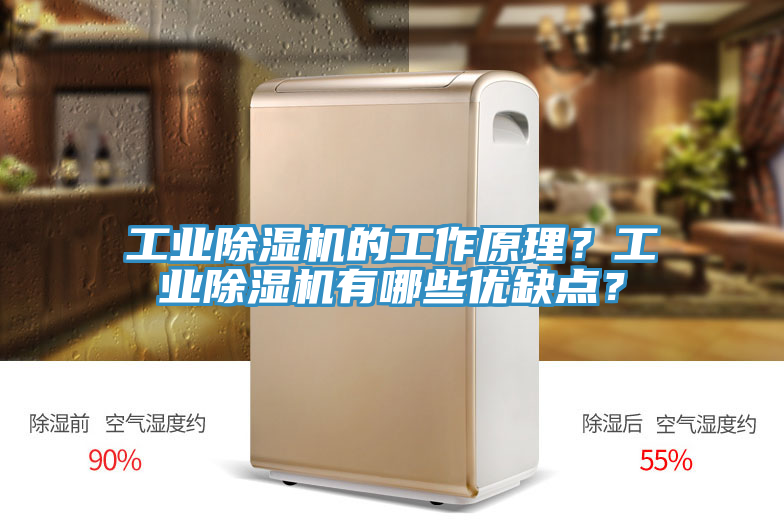 工業(yè)除濕機(jī)的工作原理？工業(yè)除濕機(jī)有哪些優(yōu)缺點(diǎn)？