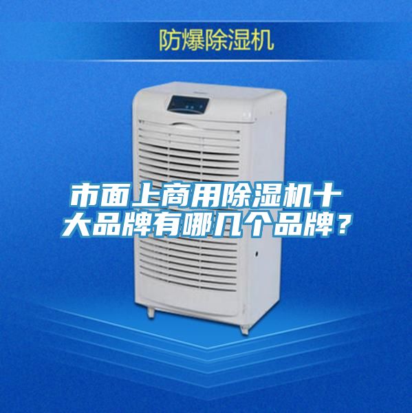 市面上商用除濕機(jī)十大品牌有哪幾個品牌？