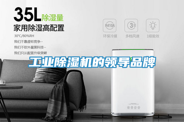 工業(yè)除濕機的領(lǐng)導(dǎo)品牌