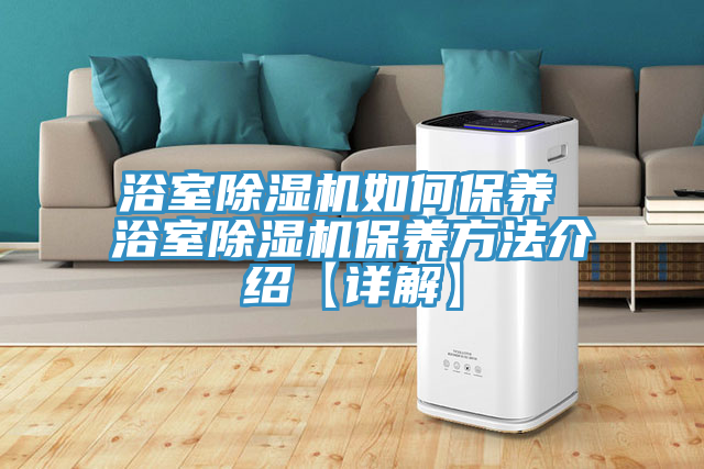 浴室除濕機如何保養(yǎng) 浴室除濕機保養(yǎng)方法介紹【詳解】
