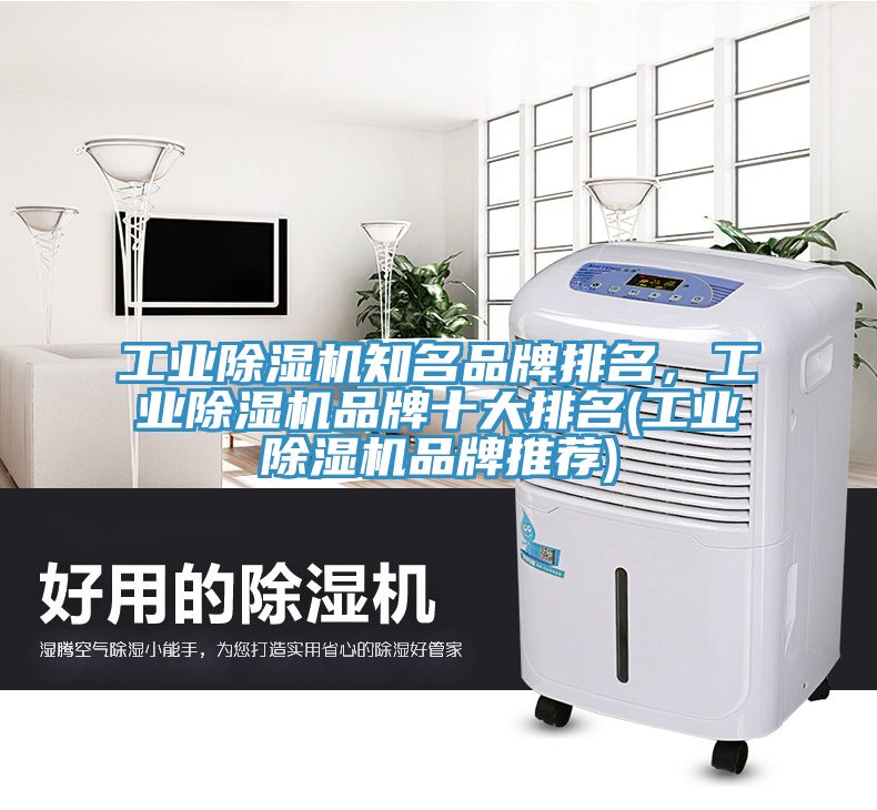 工業(yè)除濕機知名品牌排名，工業(yè)除濕機品牌十大排名(工業(yè)除濕機品牌推薦)
