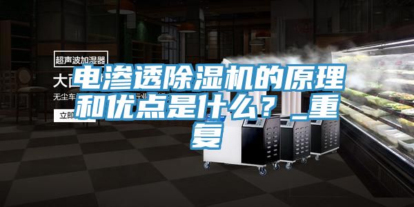 電滲透除濕機的原理和優(yōu)點是什么？_重復