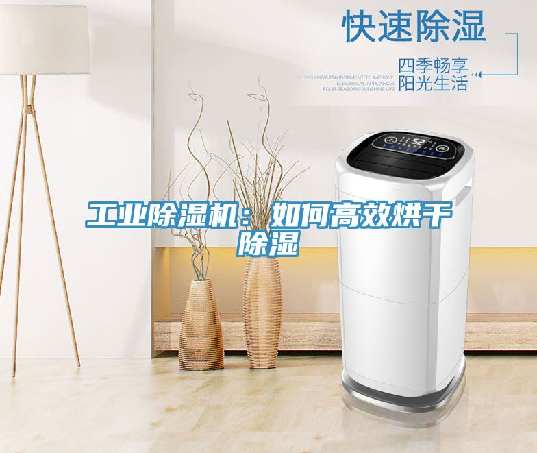 工業(yè)除濕機：如何高效烘干除濕