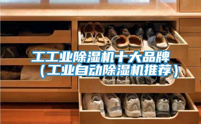 工工業(yè)除濕機(jī)十大品牌（工業(yè)自動除濕機(jī)推薦）