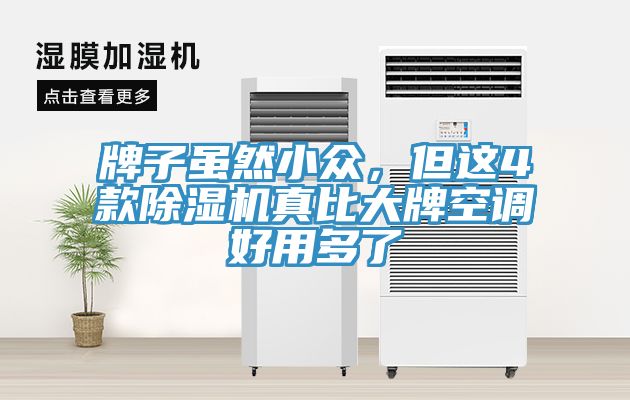 牌子雖然小眾，但這4款除濕機(jī)真比大牌空調(diào)好用多了