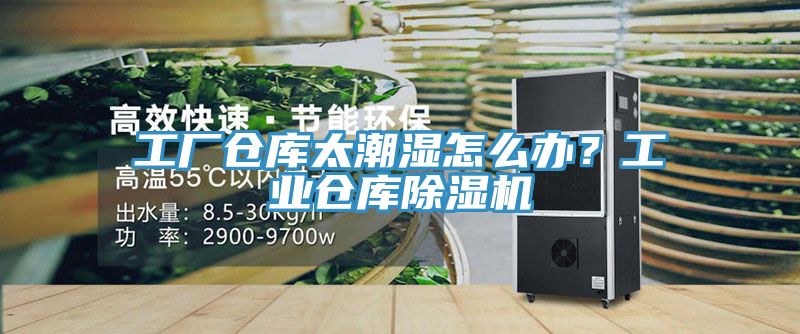 工廠倉庫太潮濕怎么辦？工業(yè)倉庫除濕機(jī)