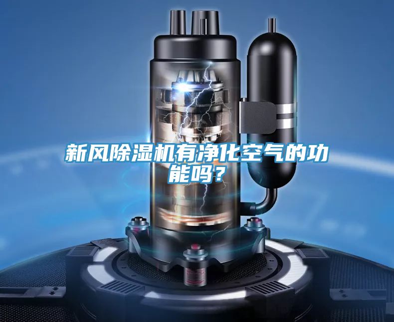 新風(fēng)除濕機(jī)有凈化空氣的功能嗎？