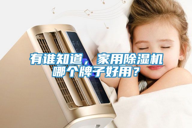 有誰(shuí)知道，家用除濕機(jī)哪個(gè)牌子好用？