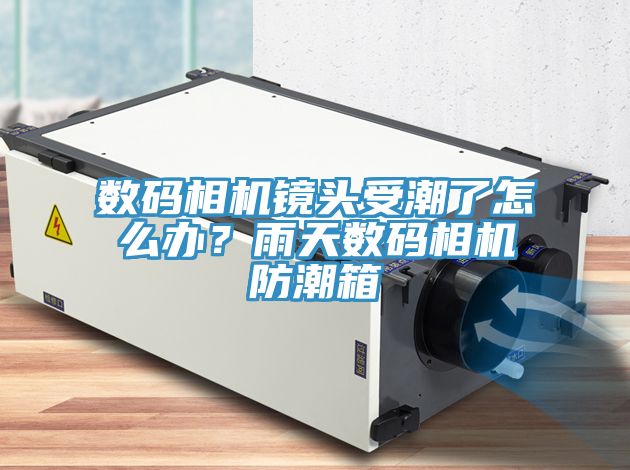 數(shù)碼相機(jī)鏡頭受潮了怎么辦？雨天數(shù)碼相機(jī)防潮箱