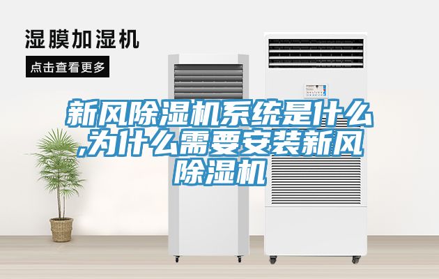 新風(fēng)除濕機系統(tǒng)是什么,為什么需要安裝新風(fēng)除濕機