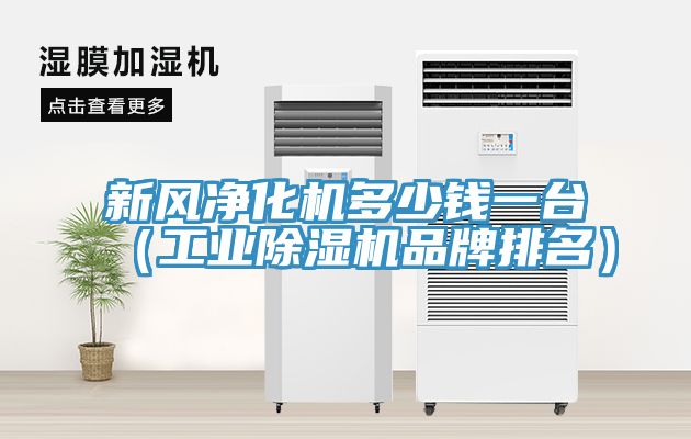 新風(fēng)凈化機多少錢一臺（工業(yè)除濕機品牌排名）