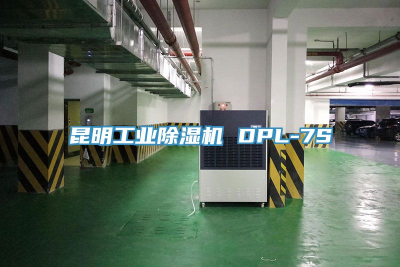 昆明工業(yè)除濕機(jī) DPL-7S
