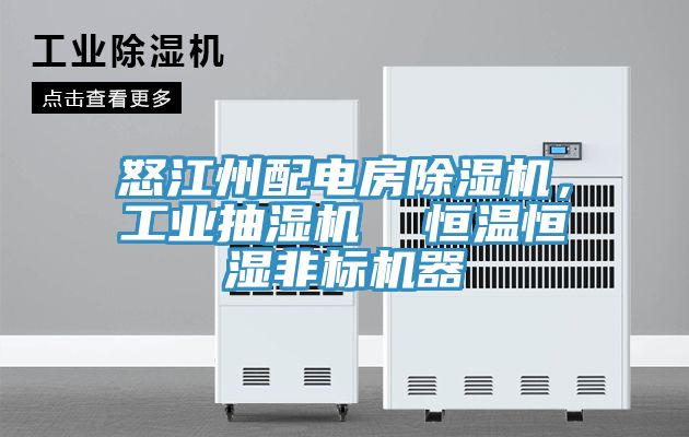 怒江州配電房除濕機，工業(yè)抽濕機  恒溫恒濕非標機器