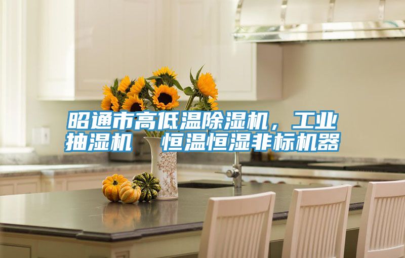 昭通市高低溫除濕機(jī)，工業(yè)抽濕機(jī)  恒溫恒濕非標(biāo)機(jī)器