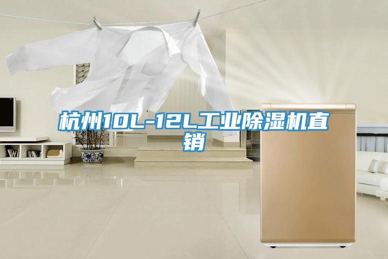 杭州10L-12L工業(yè)除濕機(jī)直銷