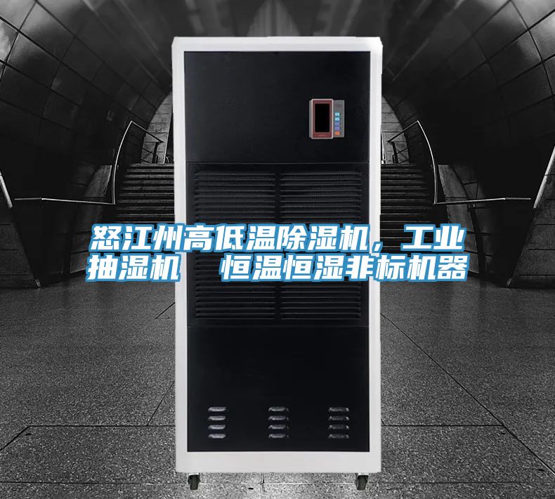 怒江州高低溫除濕機，工業(yè)抽濕機  恒溫恒濕非標機器