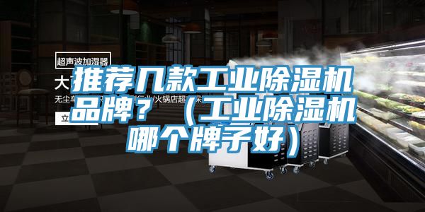 推薦幾款工業(yè)除濕機(jī)品牌？（工業(yè)除濕機(jī)哪個牌子好）