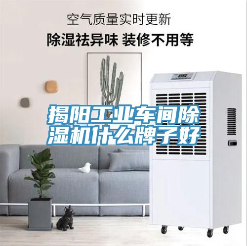 揭陽工業(yè)車間除濕機(jī)什么牌子好