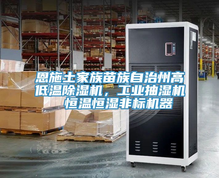 恩施土家族苗族自治州高低溫除濕機，工業(yè)抽濕機  恒溫恒濕非標機器