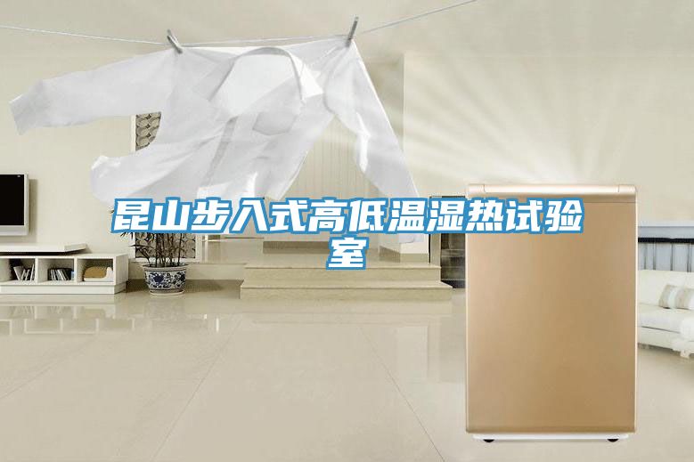 昆山步入式高低溫濕熱試驗(yàn)室