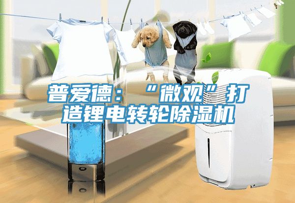 普愛(ài)德：“微觀”打造鋰電轉(zhuǎn)輪除濕機(jī)