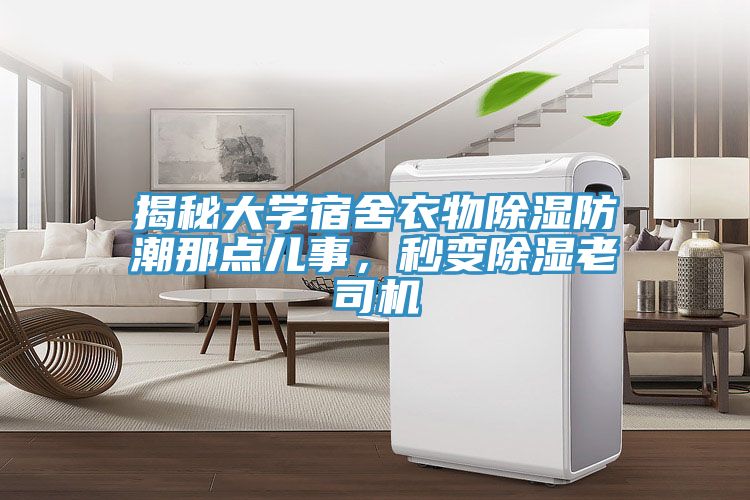 揭秘大學(xué)宿舍衣物除濕防潮那點(diǎn)兒事，秒變除濕老司機(jī)