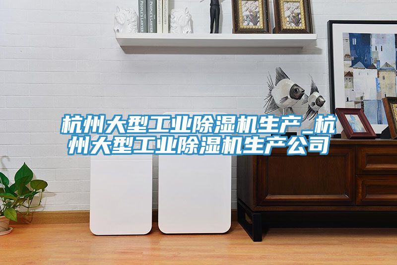 杭州大型工業(yè)除濕機(jī)生產(chǎn)_杭州大型工業(yè)除濕機(jī)生產(chǎn)公司