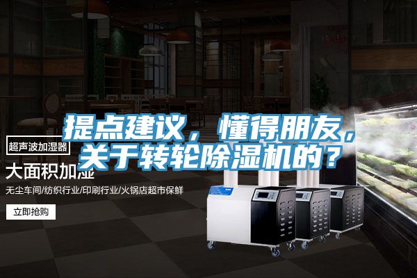 提點(diǎn)建議，懂得朋友，關(guān)于轉(zhuǎn)輪除濕機(jī)的？