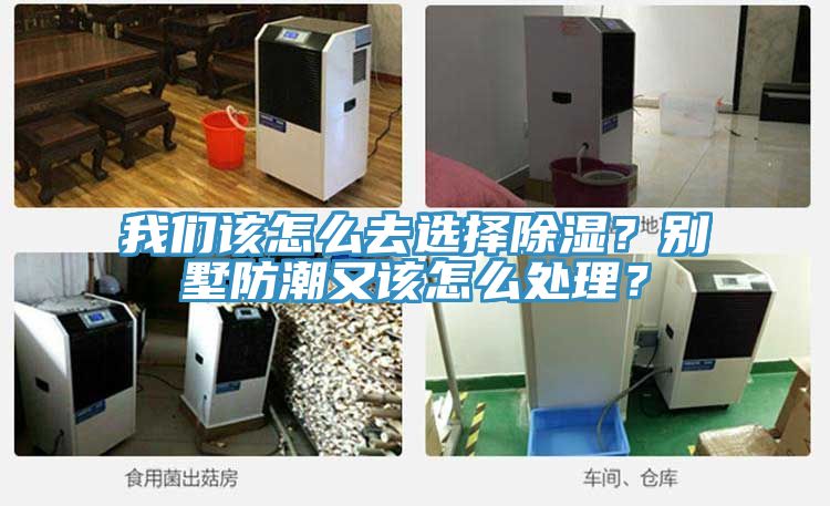 我們該怎么去選擇除濕？別墅防潮又該怎么處理？