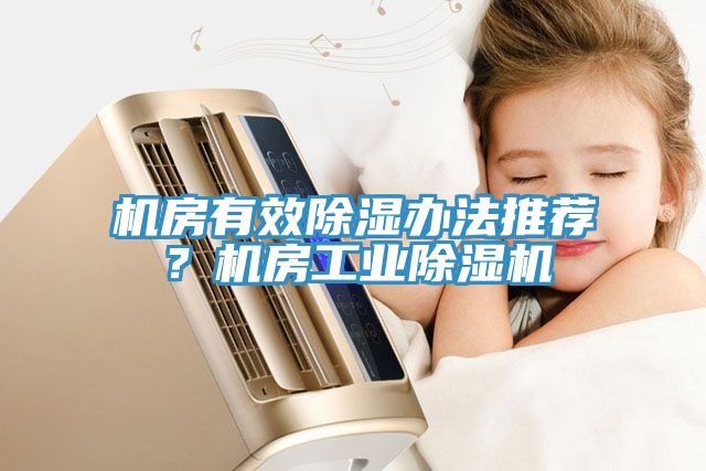 機(jī)房有效除濕辦法推薦？機(jī)房工業(yè)除濕機(jī)